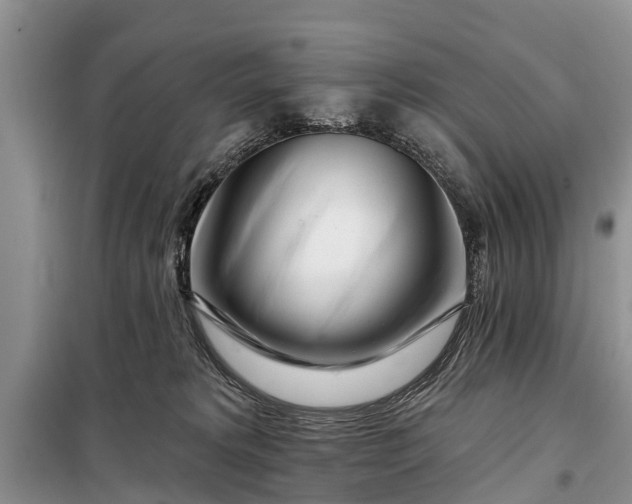 X0000097970229200804071107