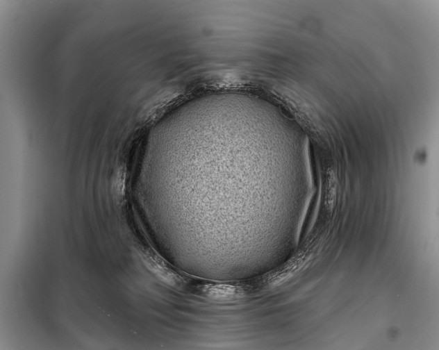 X0000097970230200804071107
