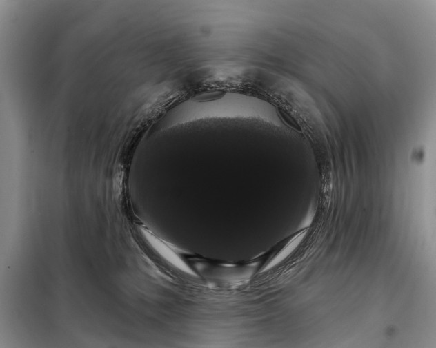 X0000097970231200804071107