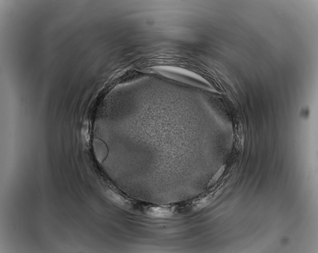X0000097970232200804071107