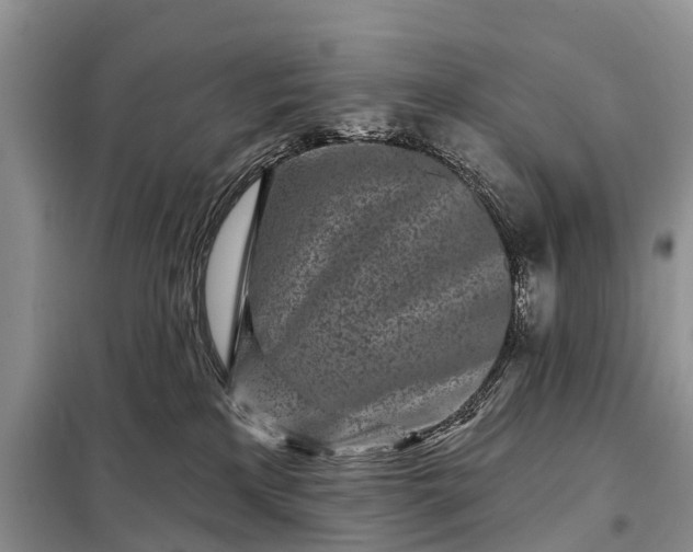 X0000097970233200804071107