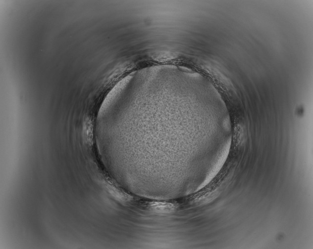 X0000097970234200804071107