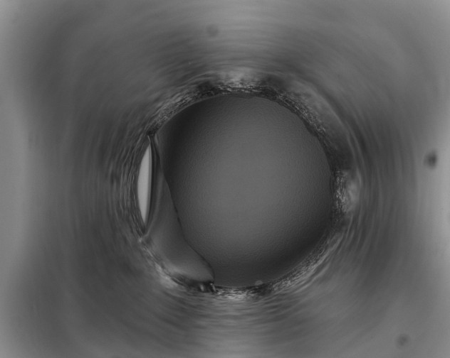 X0000097970235200804071107