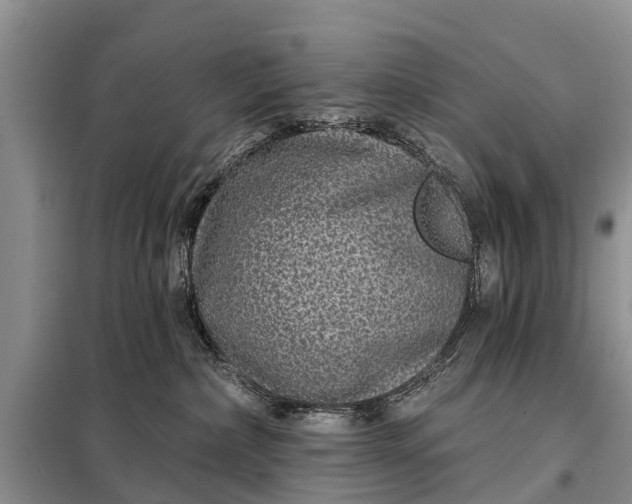 X0000097970236200804071107