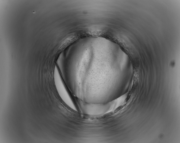 X0000097970237200804071107