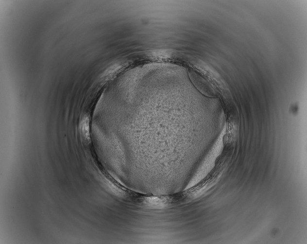 X0000097970238200804071107
