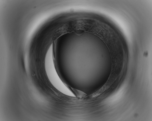 X0000097970239200804071107