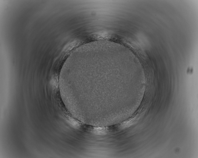 X0000097970240200804071107