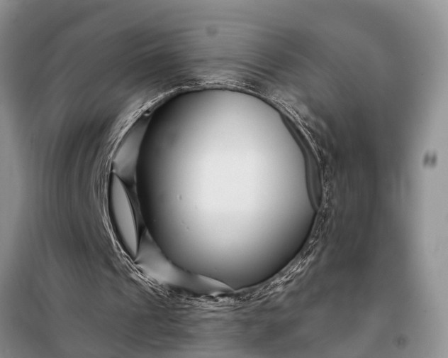 X0000097970241200804071106