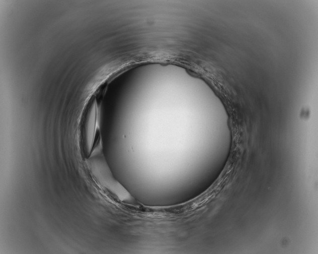 X0000097970242200804071106