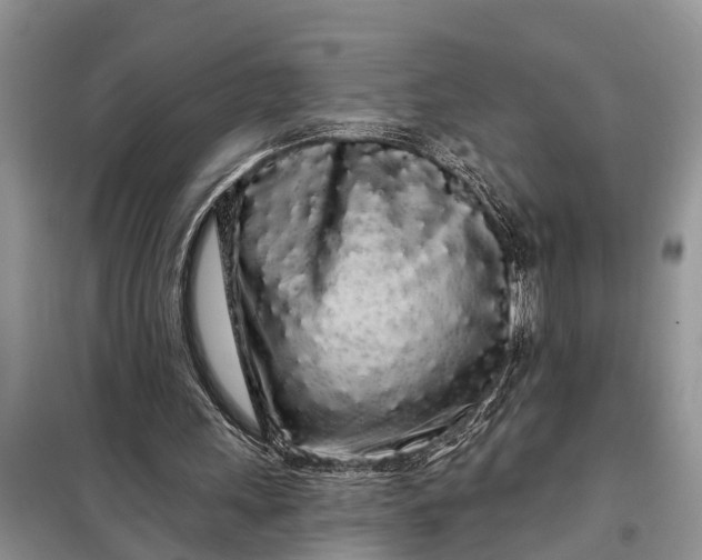 X0000097970243200804071106