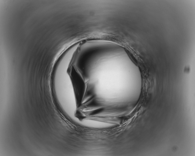 X0000097970244200804071106