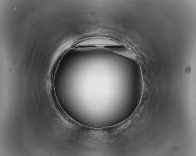 X0000097970245200804071106