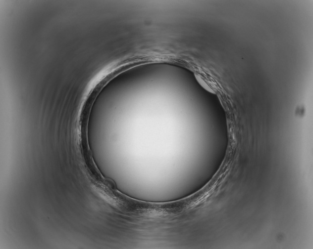 X0000097970246200804071106