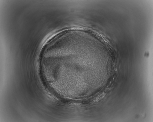 X0000097970247200804071106