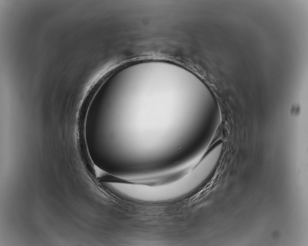 X0000097970248200804071106