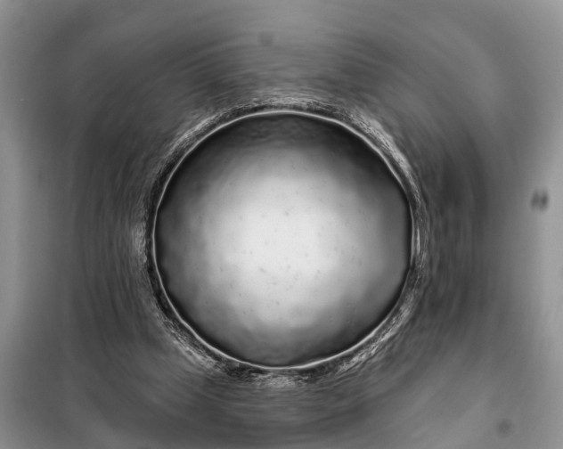 X0000097970249200804071106