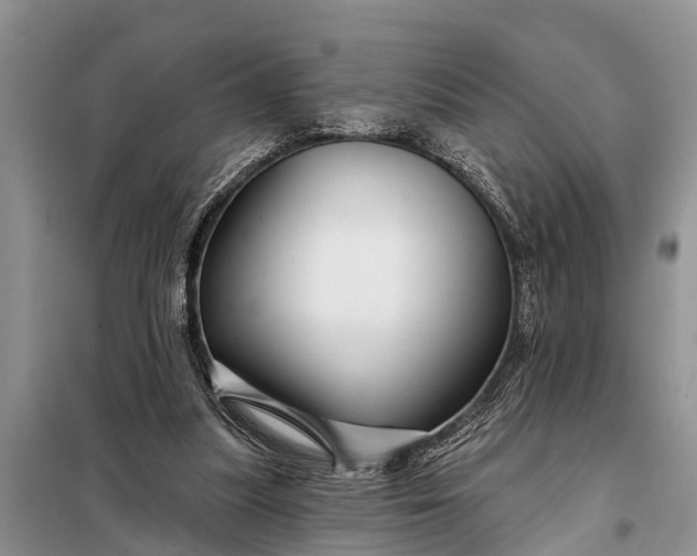 X0000097970251200804071106