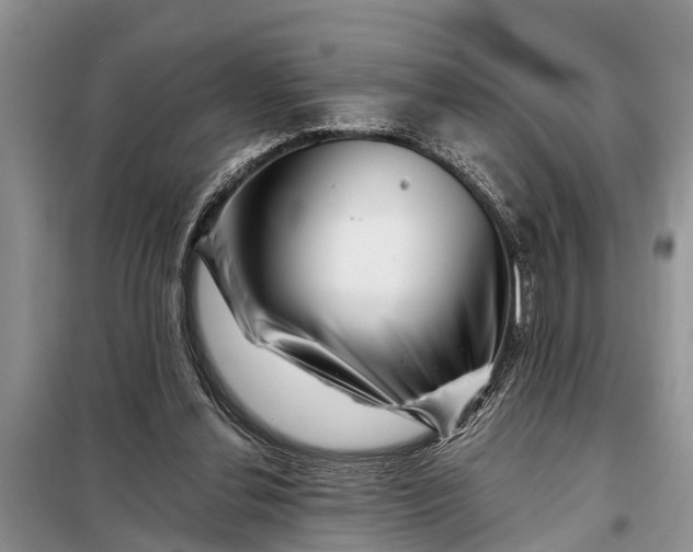 X0000097970252200804071106