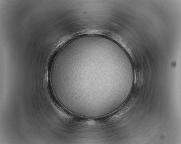 X0000097970253200804071106