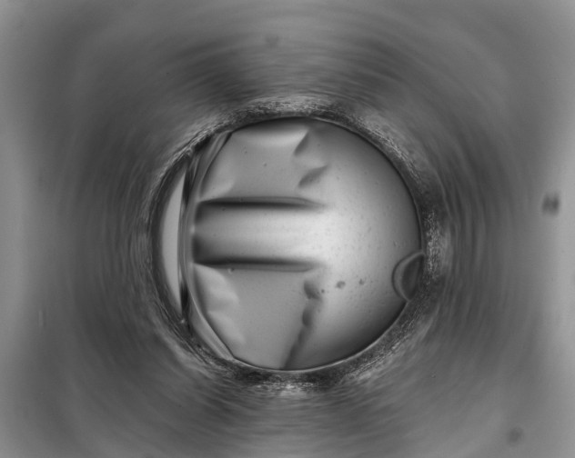 X0000097970254200804071106