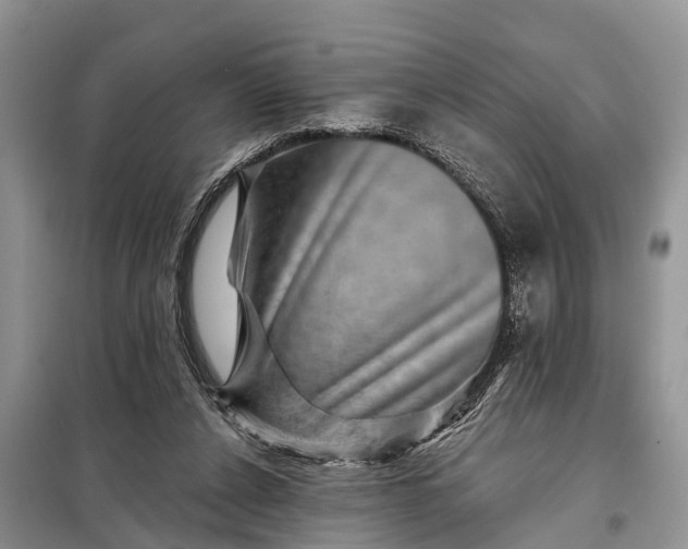 X0000097970256200804071106