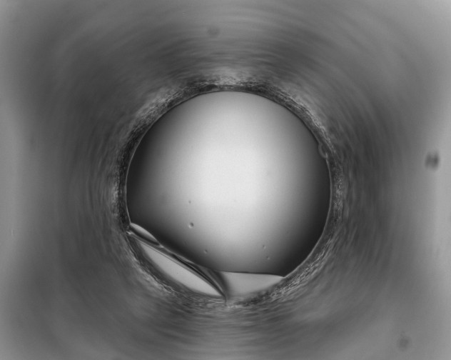 X0000097970257200804071106