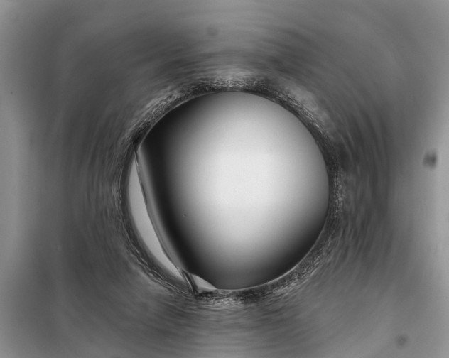 X0000097970258200804071106