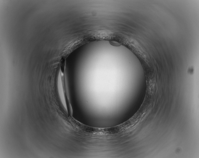 X0000097970259200804071106