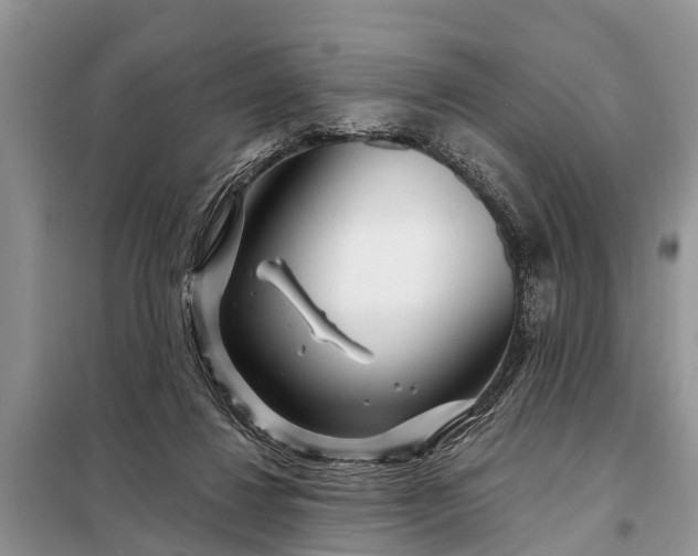 X0000097970260200804071106