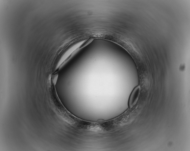 X0000097970262200804071106