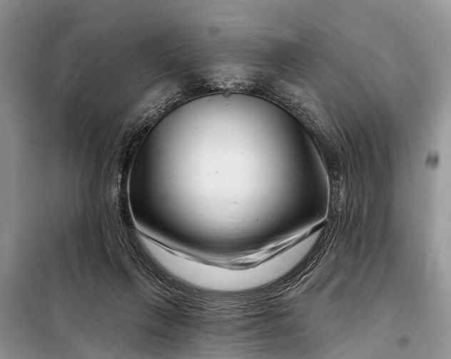 X0000097970263200804071106