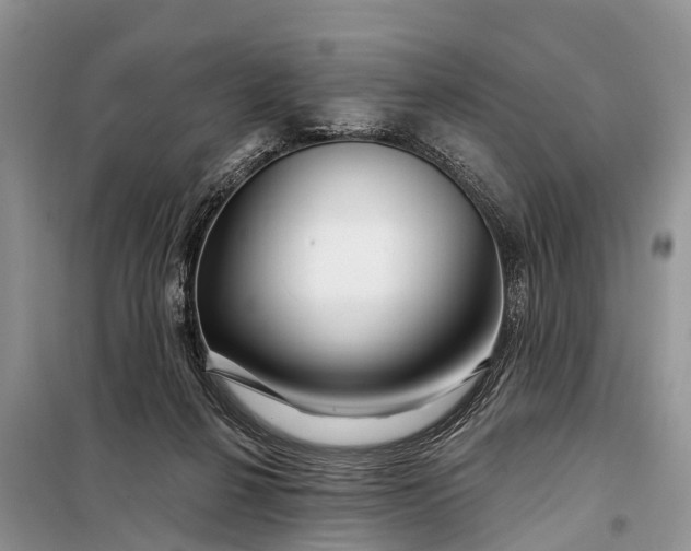 X0000097970264200804071106