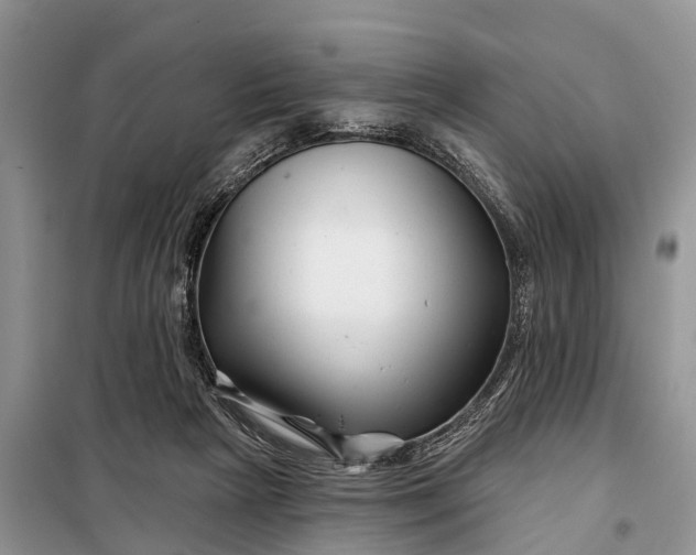 X0000097970265200804071106