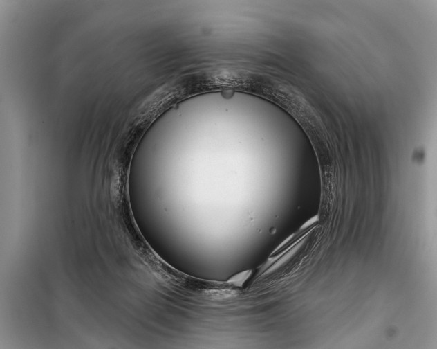 X0000097970266200804071106