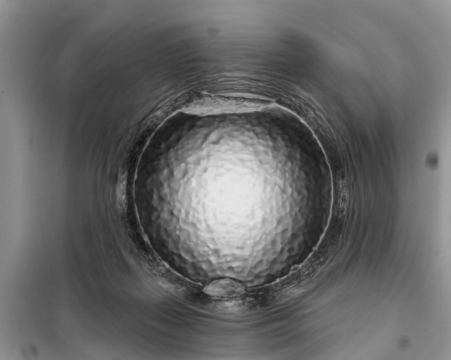 X0000097970267200804071106