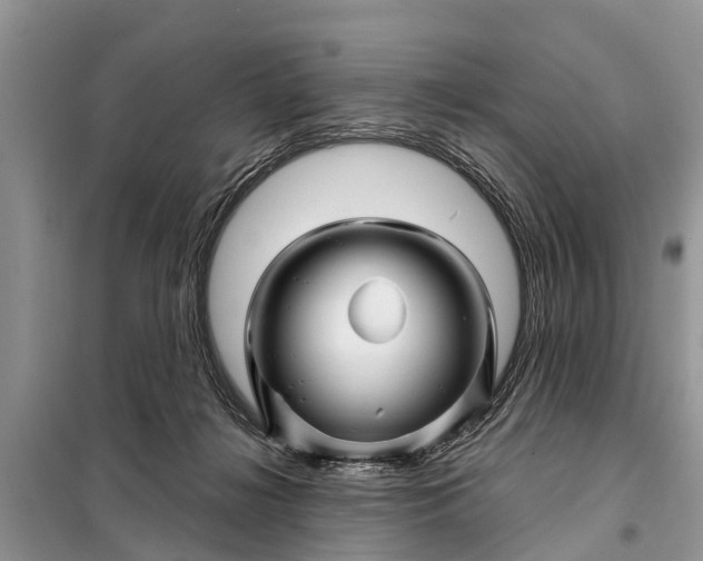 X0000097970268200804071106