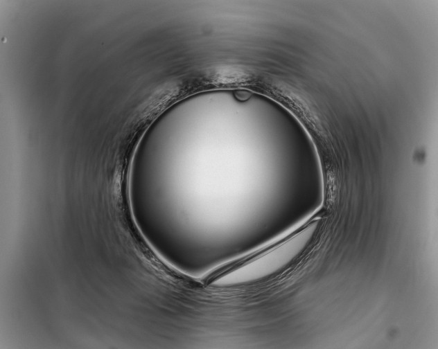 X0000097970269200804071106