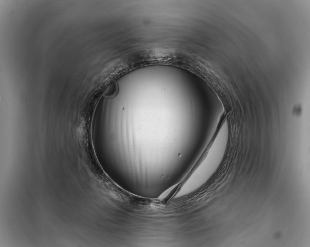 X0000097970270200804071106