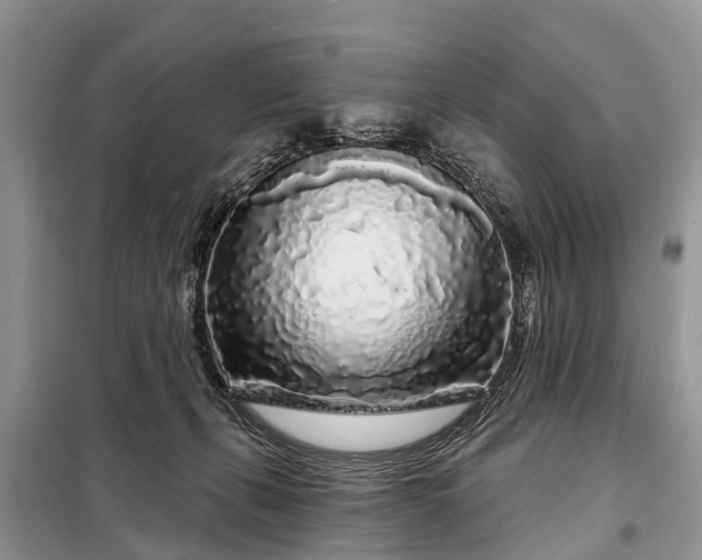 X0000097970271200804071106