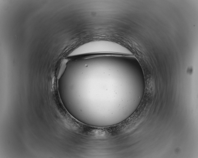 X0000097970272200804071106