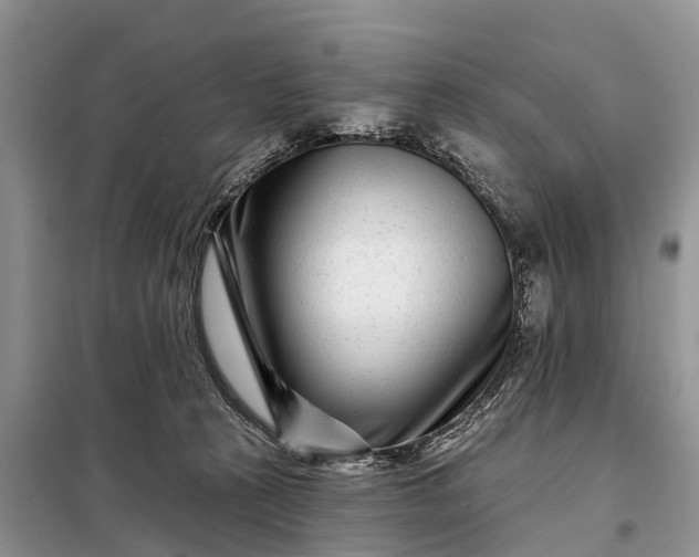 X0000097970273200804071106