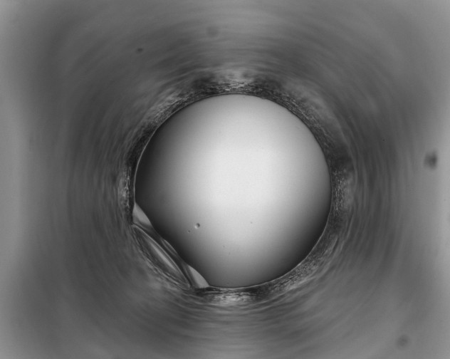 X0000097970274200804071106