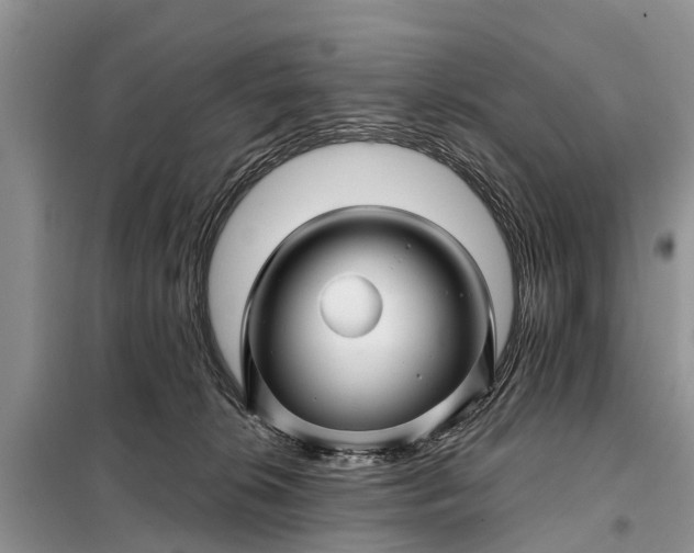 X0000097970276200804071106