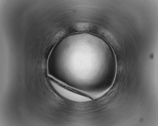 X0000097970277200804071106