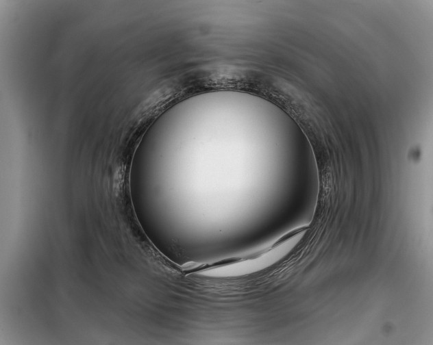 X0000097970278200804071106