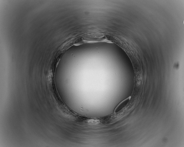 X0000097970279200804071106