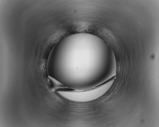 X0000097970280200804071106