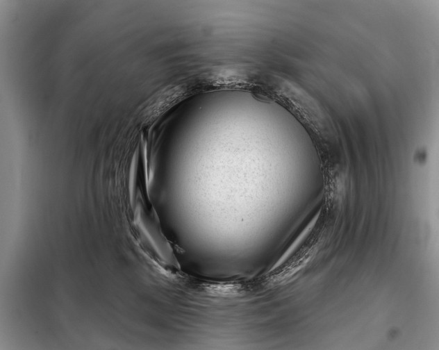 X0000097970281200804071106