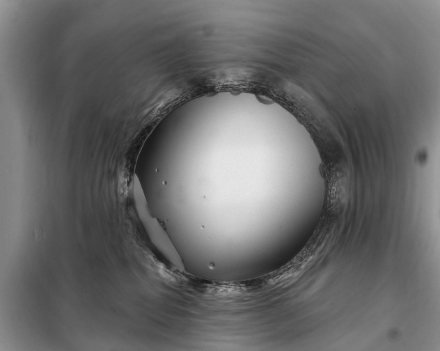 X0000097970282200804071106